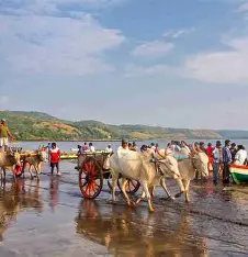 Pune To Dapoli One Day Trip By Cab — Maharashtra tour package