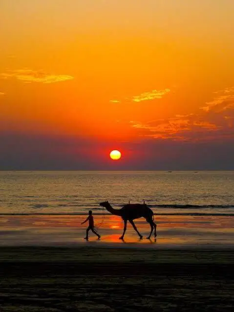 Mumbai To Dapoli One Day Trip — One Day Trip From Mumbai tour package