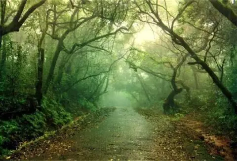 Pune To Mahabaleshwar Lonavala 2 Day Trip — Maharashtra tour package