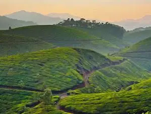 Munnar 2Day Trip From Kochi — Kerala tour package