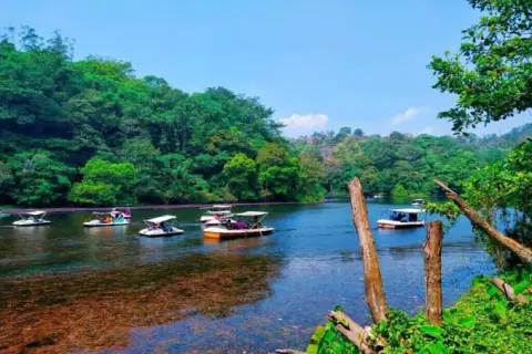 Calicut To Wayanad One Day Trip — One Day Trip From Calicut tour package