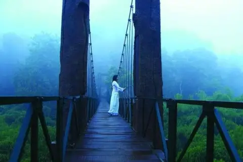 Calicut To Wayanad 3Day Trip — One Day Trip From Calicut tour package