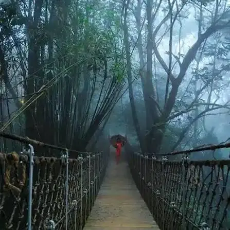 Wayanad Local Sightseeing — Kerala tour package
