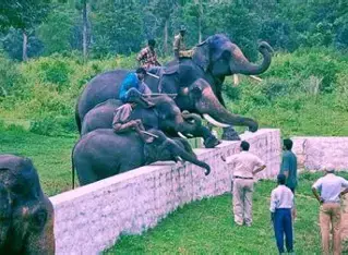 Coorg Local Sightseeing — Karnataka tour package