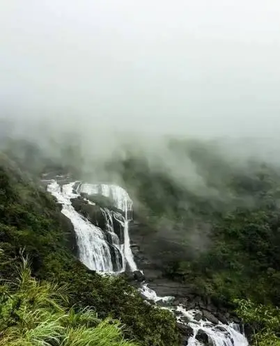 Bangalore To Coorg 2Day Trip — One Day Trip From Bangalore tour package