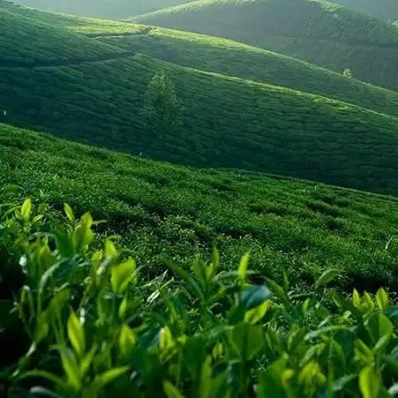 Kerala Tour Package From Pune — One Day Trip From Pune tour package